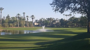 Scottsdale scenery