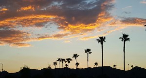 tempe